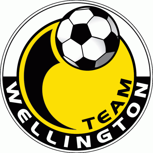 Team Wellington 2004-Pres Primary Logo t shirt iron on transfers